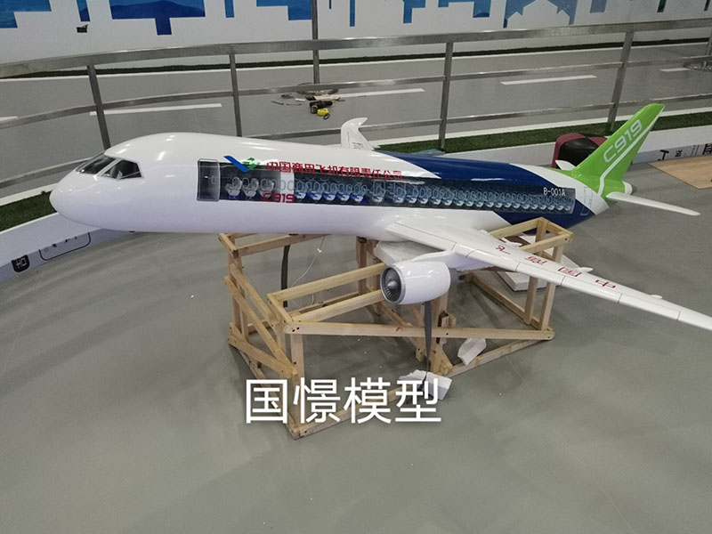 东宁市飞机模型